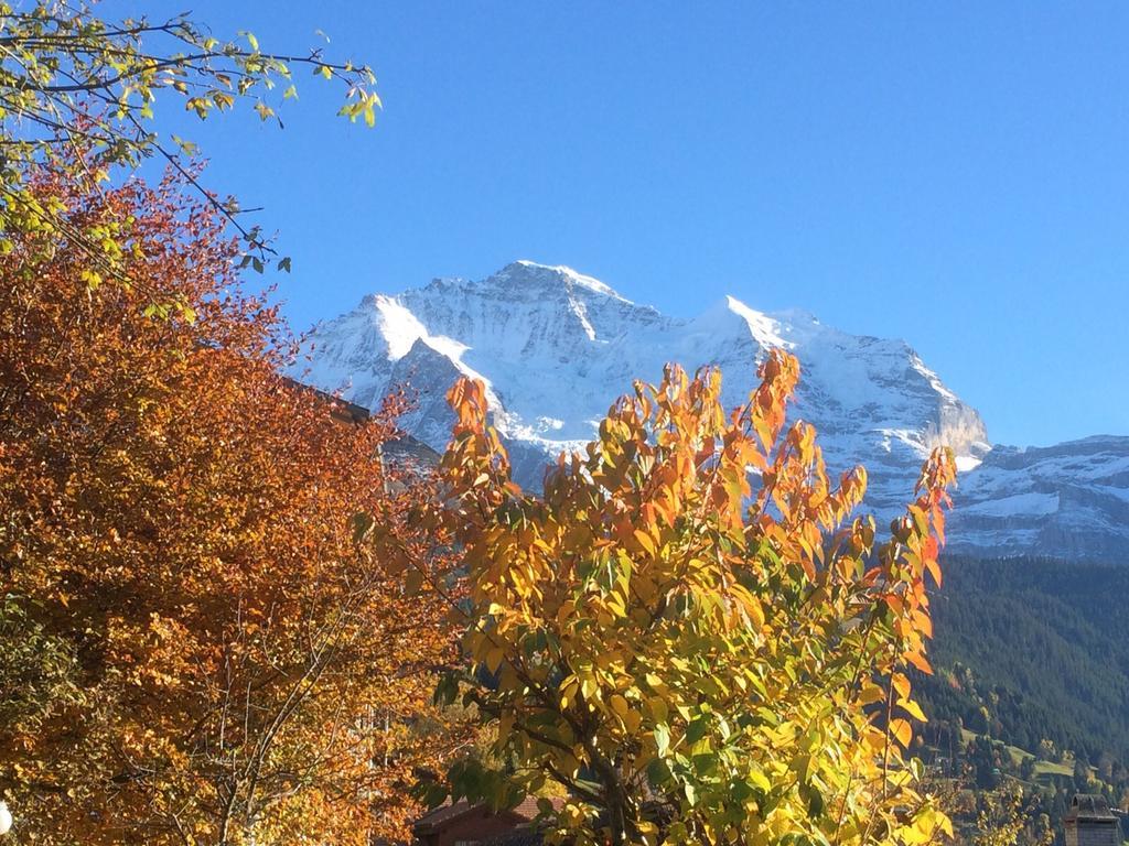 Chalet Protea Wengen Rom bilde