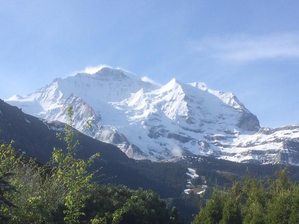 Chalet Protea Wengen Rom bilde