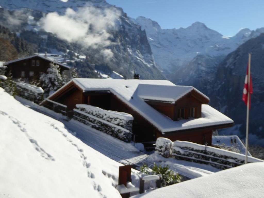 Chalet Protea Wengen Eksteriør bilde