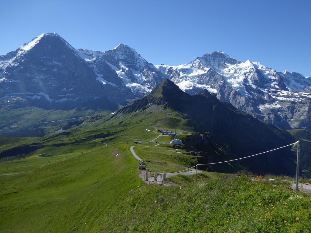 Chalet Protea Wengen Eksteriør bilde